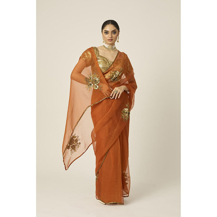 PEELI DORI Paro Orange Silk Organza Saree with Stitched Blouse