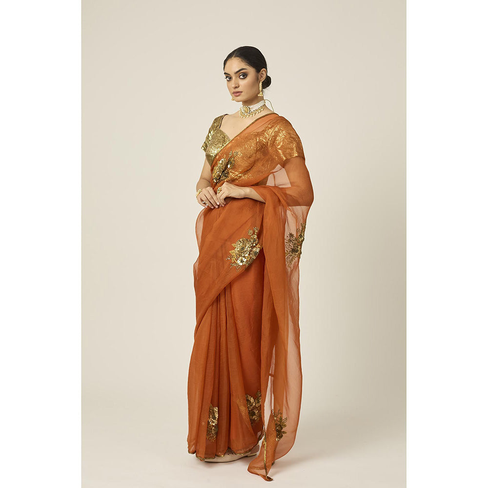 PEELI DORI Paro Orange Silk Organza Saree with Stitched Blouse