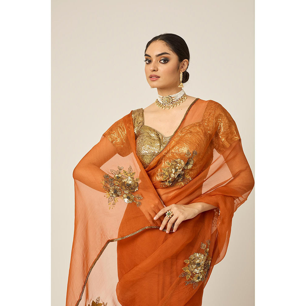 PEELI DORI Paro Orange Silk Organza Saree with Stitched Blouse