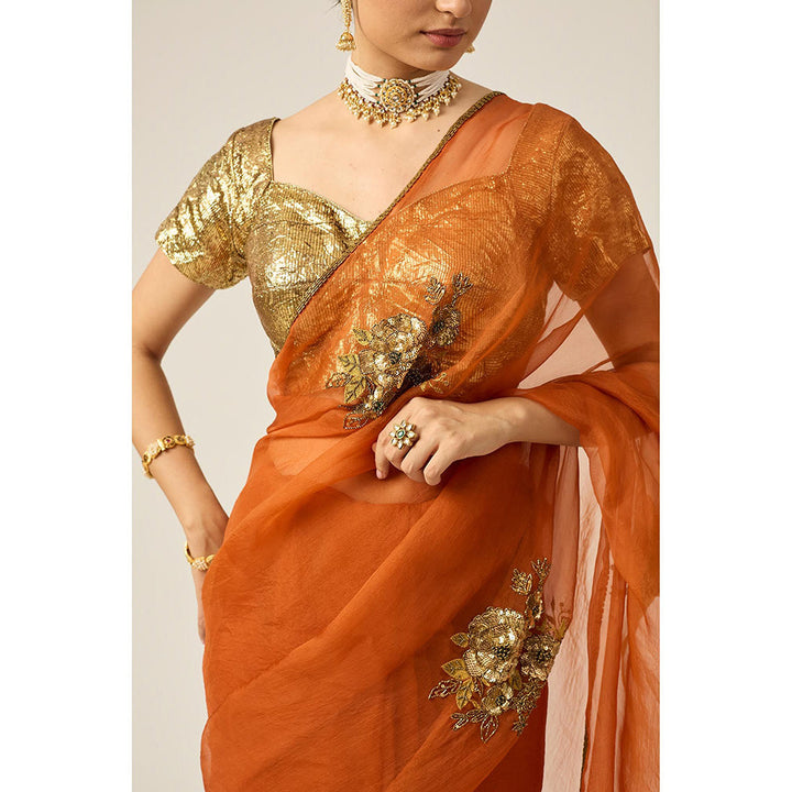 PEELI DORI Paro Orange Silk Organza Saree with Stitched Blouse