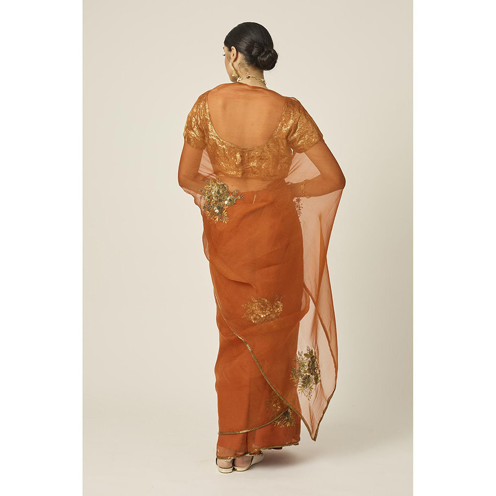 PEELI DORI Paro Orange Silk Organza Saree with Stitched Blouse