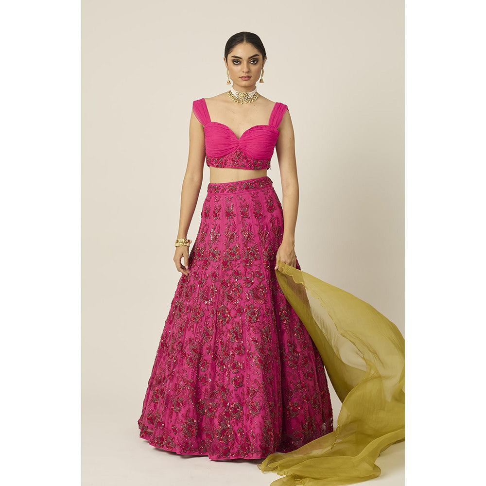 PEELI DORI Ishra Pink Blouse with Lehenga and Dupatta (Set of 3)