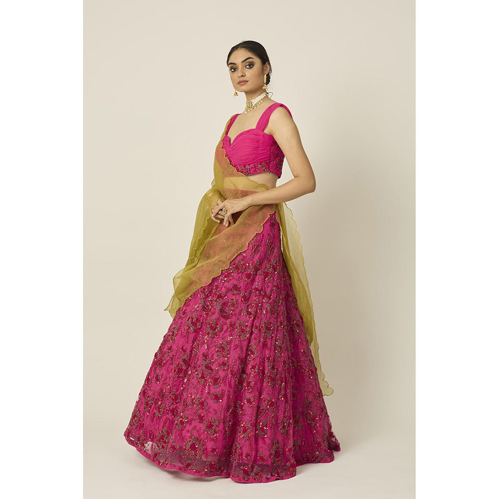 PEELI DORI Ishra Pink Blouse with Lehenga and Dupatta (Set of 3)
