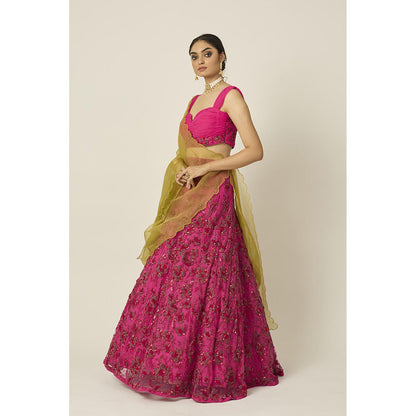 PEELI DORI Ishra Pink Blouse with Lehenga and Dupatta (Set of 3)
