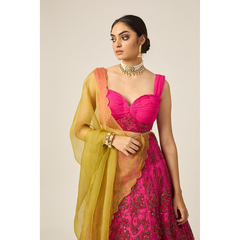 PEELI DORI Ishra Pink Blouse with Lehenga and Dupatta (Set of 3)