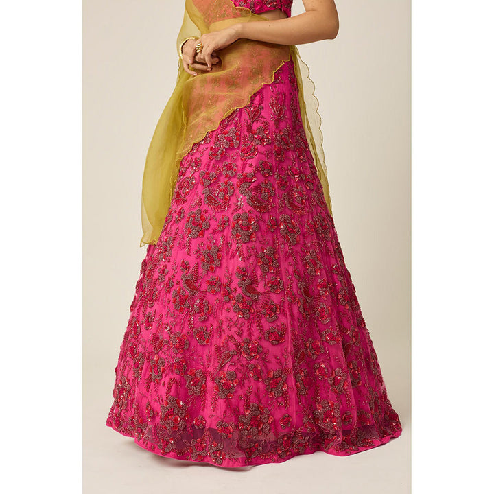 PEELI DORI Ishra Pink Blouse with Lehenga and Dupatta (Set of 3)