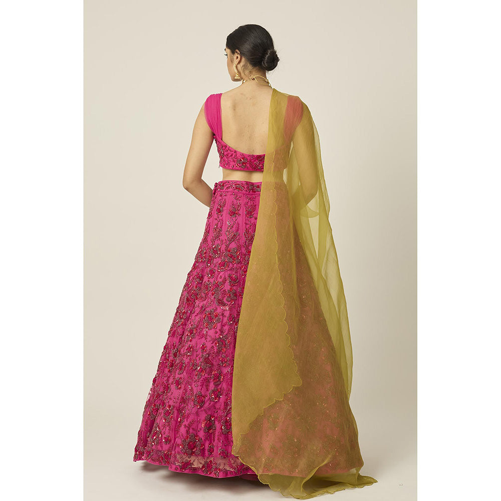 PEELI DORI Ishra Pink Blouse with Lehenga and Dupatta (Set of 3)