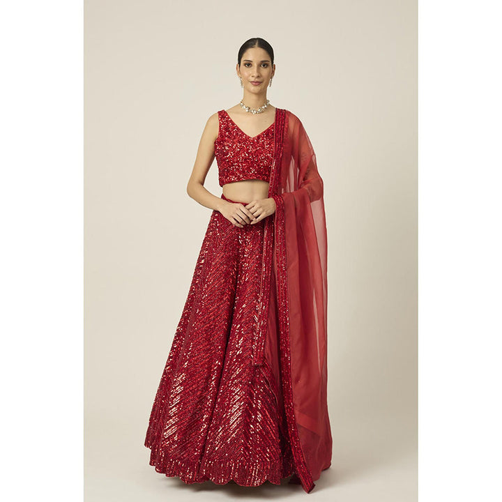 PEELI DORI Red Anamika Lehenga with Blouse and Dupatta (Set of 3)