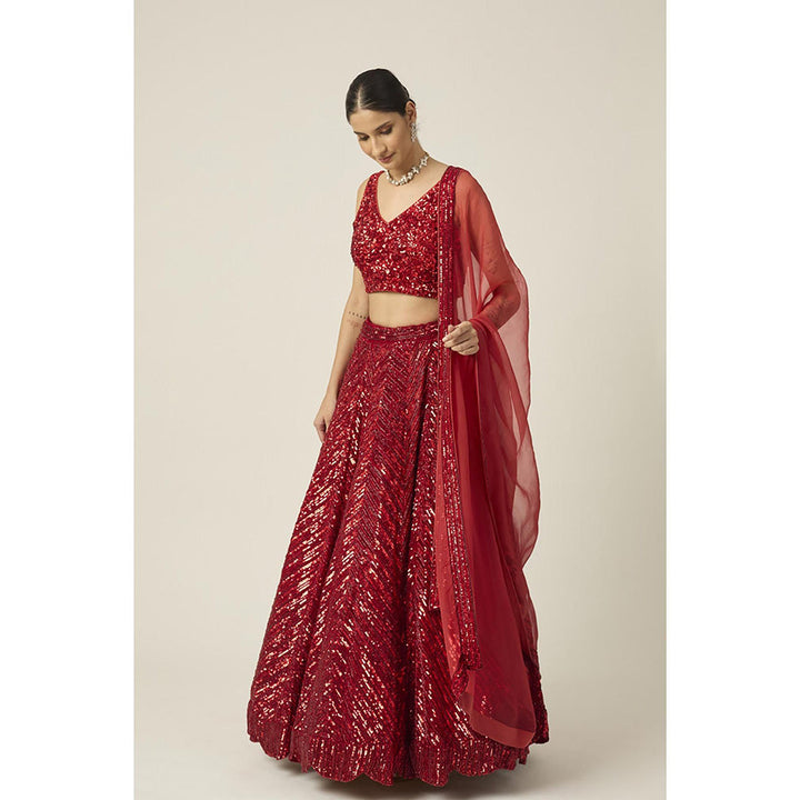 PEELI DORI Red Anamika Lehenga with Blouse and Dupatta (Set of 3)