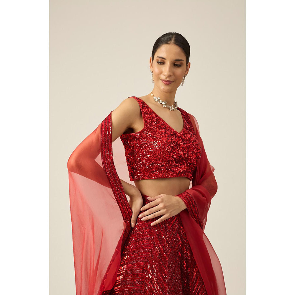 PEELI DORI Red Anamika Lehenga with Blouse and Dupatta (Set of 3)