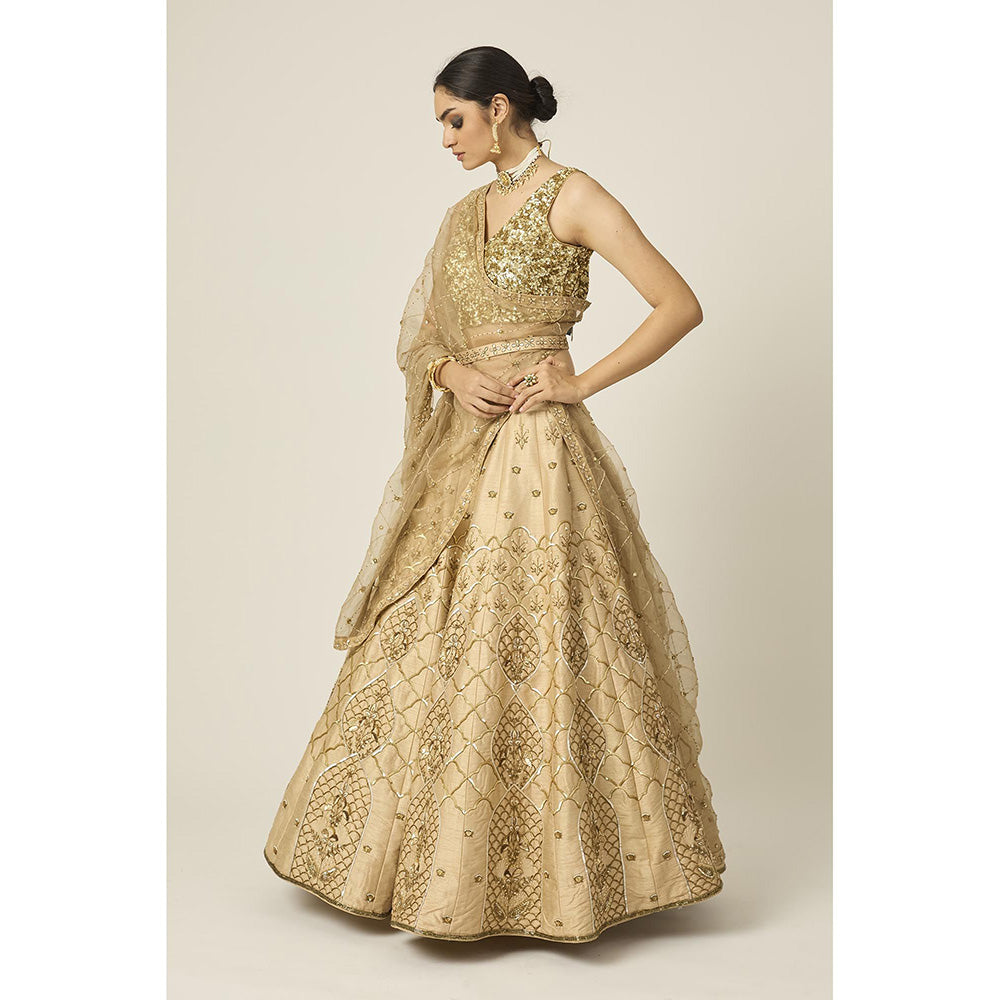 PEELI DORI Gold Riwayat Lehenga with Blouse and Dupatta (Set of 3)