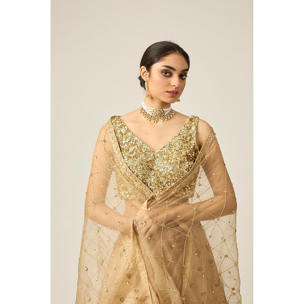 PEELI DORI Gold Riwayat Lehenga with Blouse and Dupatta (Set of 3)