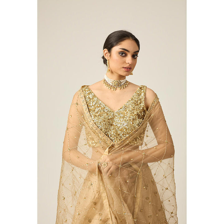 PEELI DORI Gold Riwayat Lehenga with Blouse and Dupatta (Set of 3)