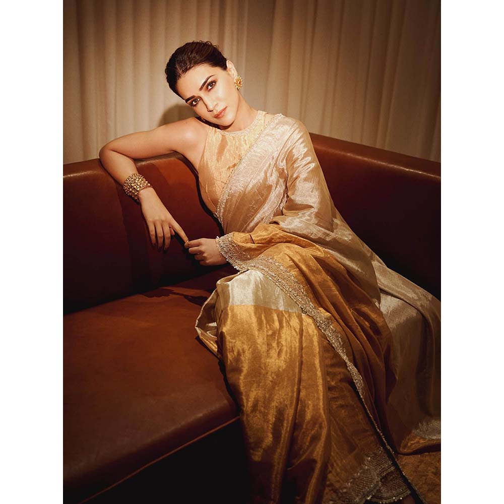 PINK CITY BY SARIKA Sona Chandi Saree with Unstitched Blouse