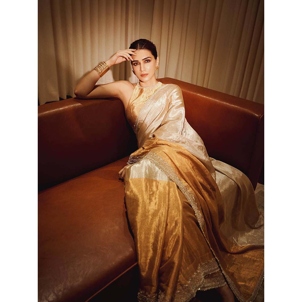 PINK CITY BY SARIKA Sona Chandi Saree with Unstitched Blouse