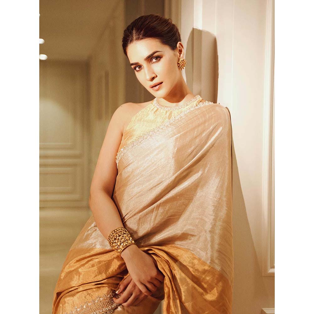 PINK CITY BY SARIKA Sona Chandi Saree with Unstitched Blouse