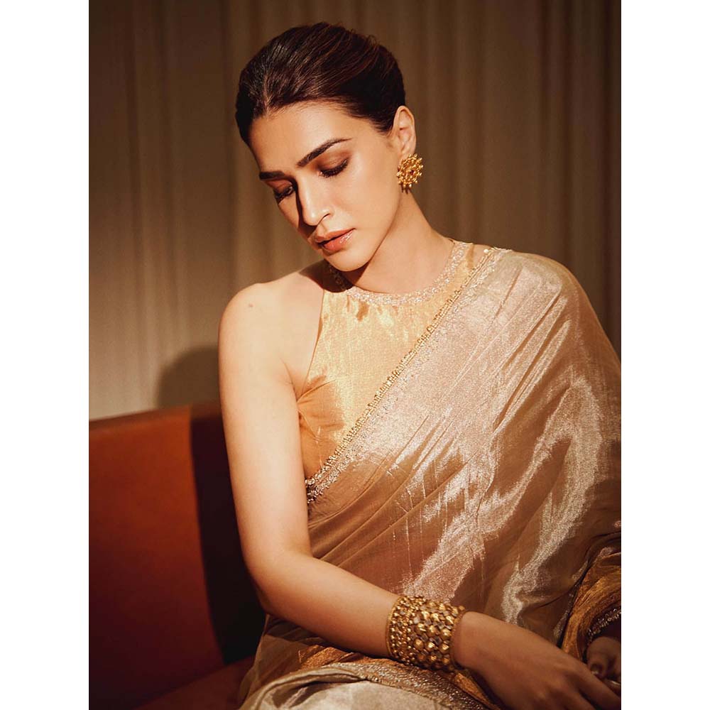 PINK CITY BY SARIKA Sona Chandi Saree with Unstitched Blouse