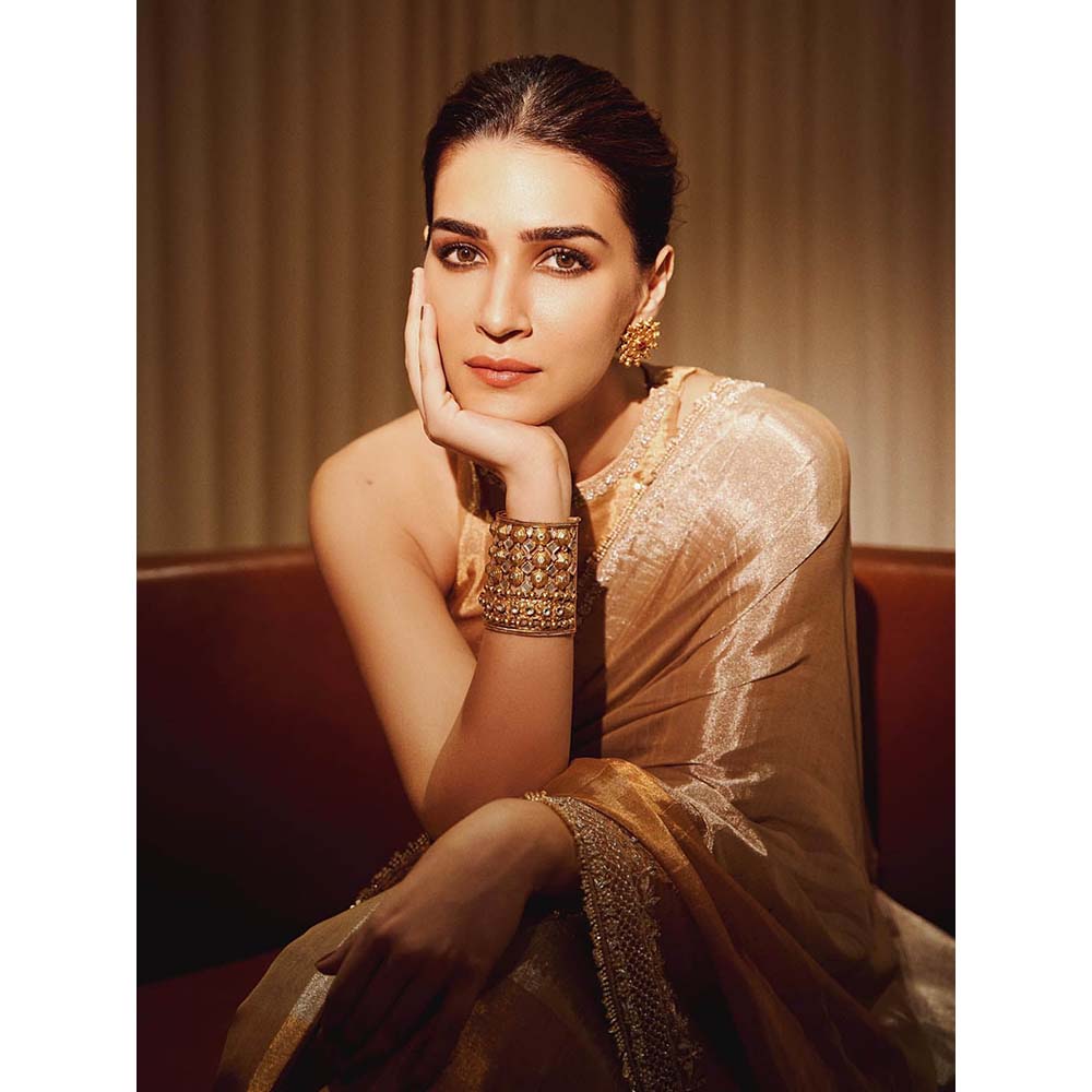 PINK CITY BY SARIKA Sona Chandi Saree with Unstitched Blouse