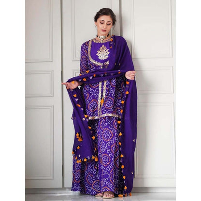 PINK CITY BY SARIKA Mughal Kurta with Sharara and Dupatta (Set of 3)