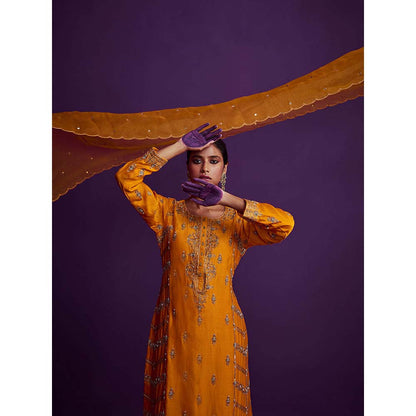 PINK CITY BY SARIKA Heavily Embroidered Kurta with Sharara and Dupatta (Set of 3)