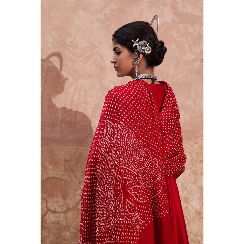 PINK CITY BY SARIKA Women's Mor Kalidar Anarkali Kurta with Pant and Dupatta (Set of 3)