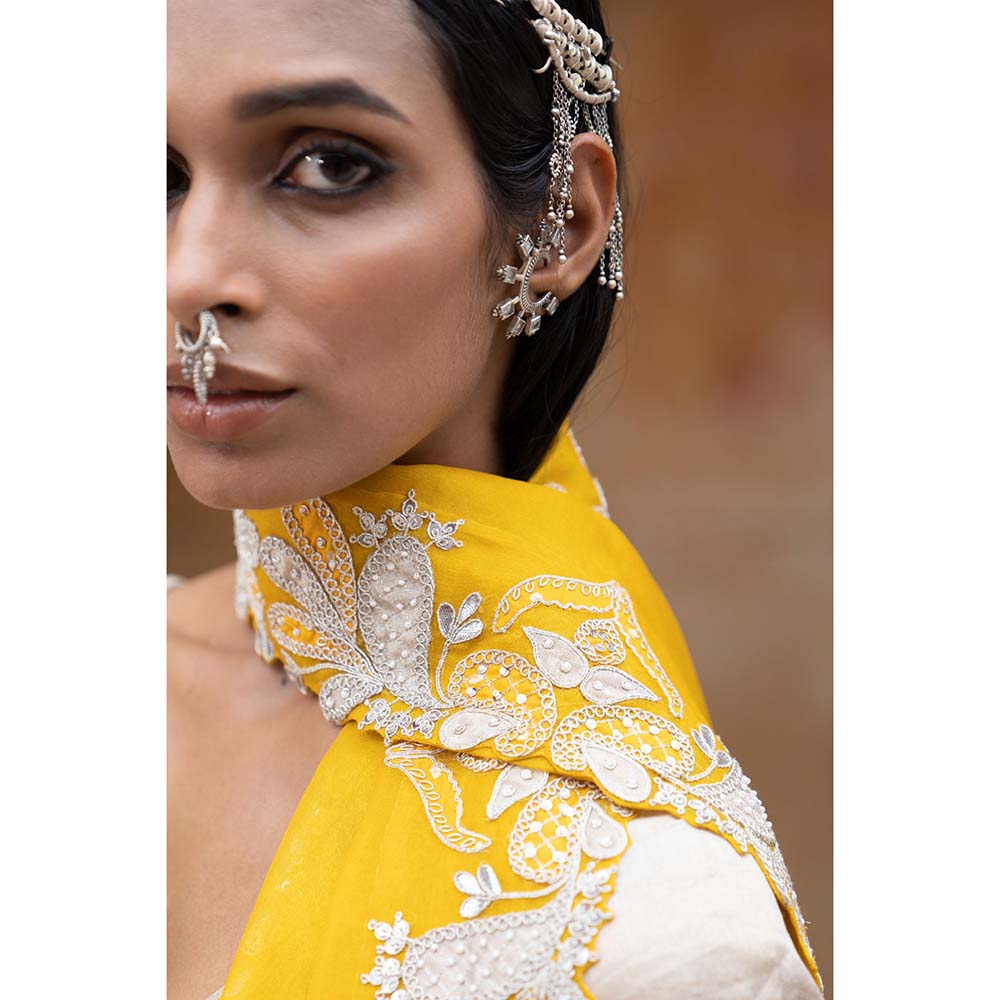 PINK CITY BY SARIKA Silver Chandi Kurta with Pant and Dupatta (Set of 3)