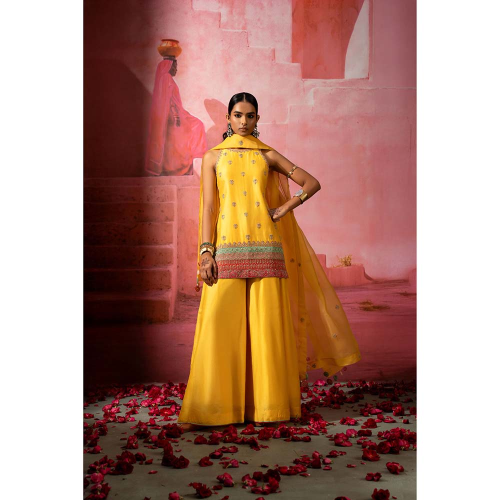 PINK CITY BY SARIKA Peela Embroidered Kurta with Sharara and Dupatta (Set of 3)