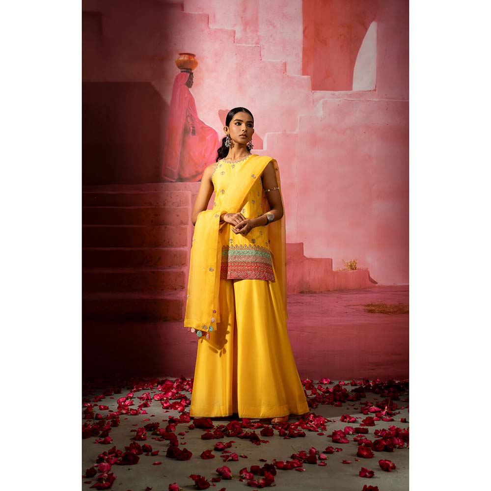 PINK CITY BY SARIKA Peela Embroidered Kurta with Sharara and Dupatta (Set of 3)