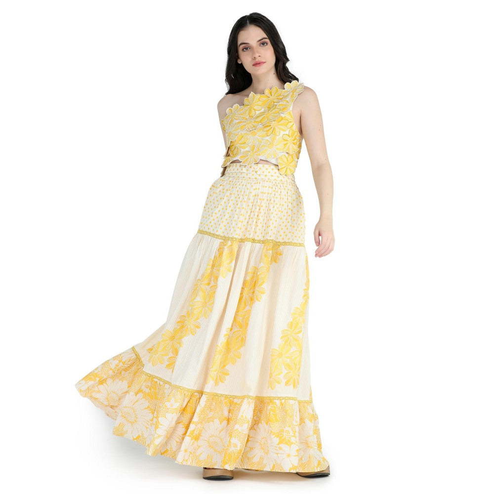 Pinnacle By Shruti Sancheti Bone Floral Printed Skirt with Floral Embroidered Top (Set of 2)