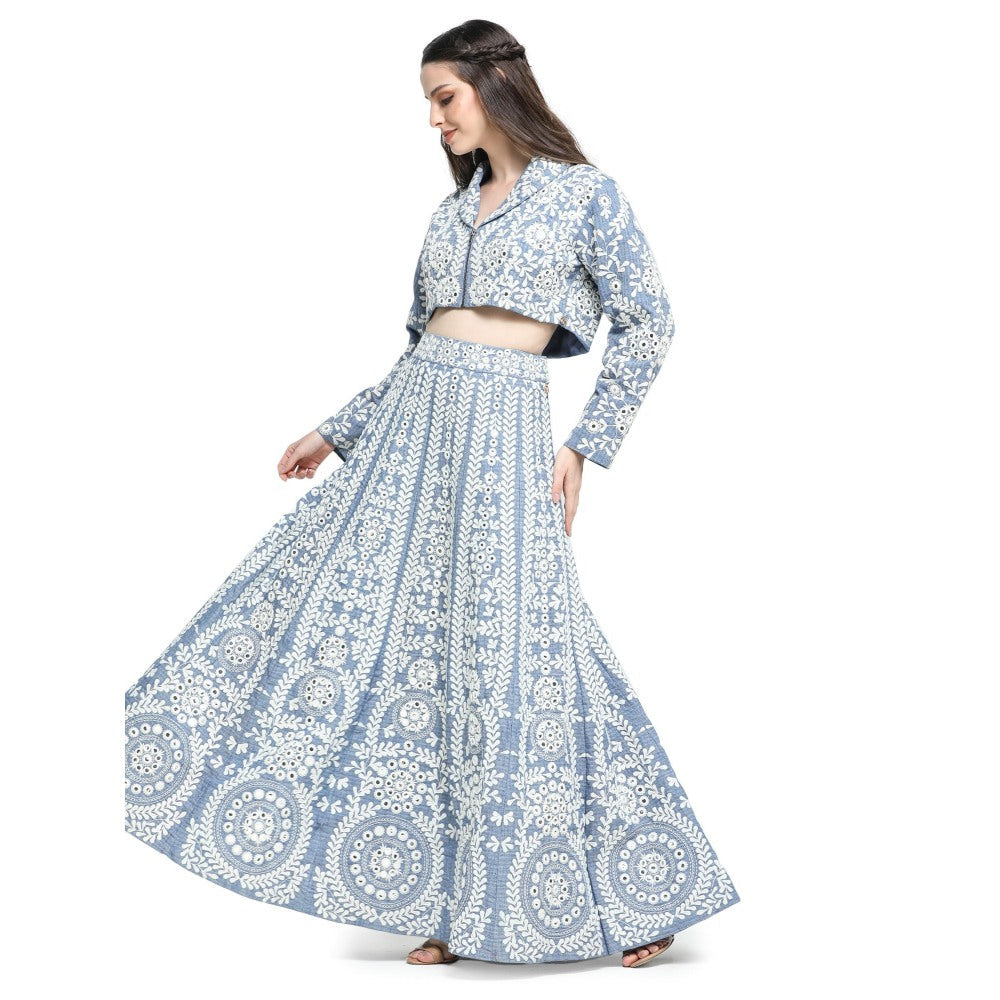 Pinnacle By Shruti Sancheti Blue Embroidered Skirt with Embroidered Crop Top (Set of 2)