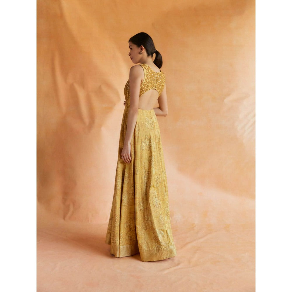 Pinnacle By Shruti Sancheti Yellow Gold Printed and Embroidered Maxi