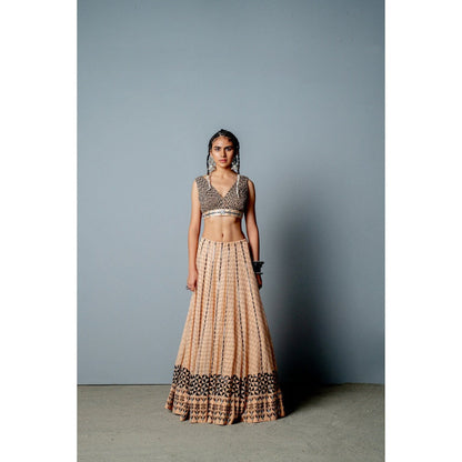 POOJA RAJGARHIA GUPTA The Zenobia Lehenga (Set of 3)