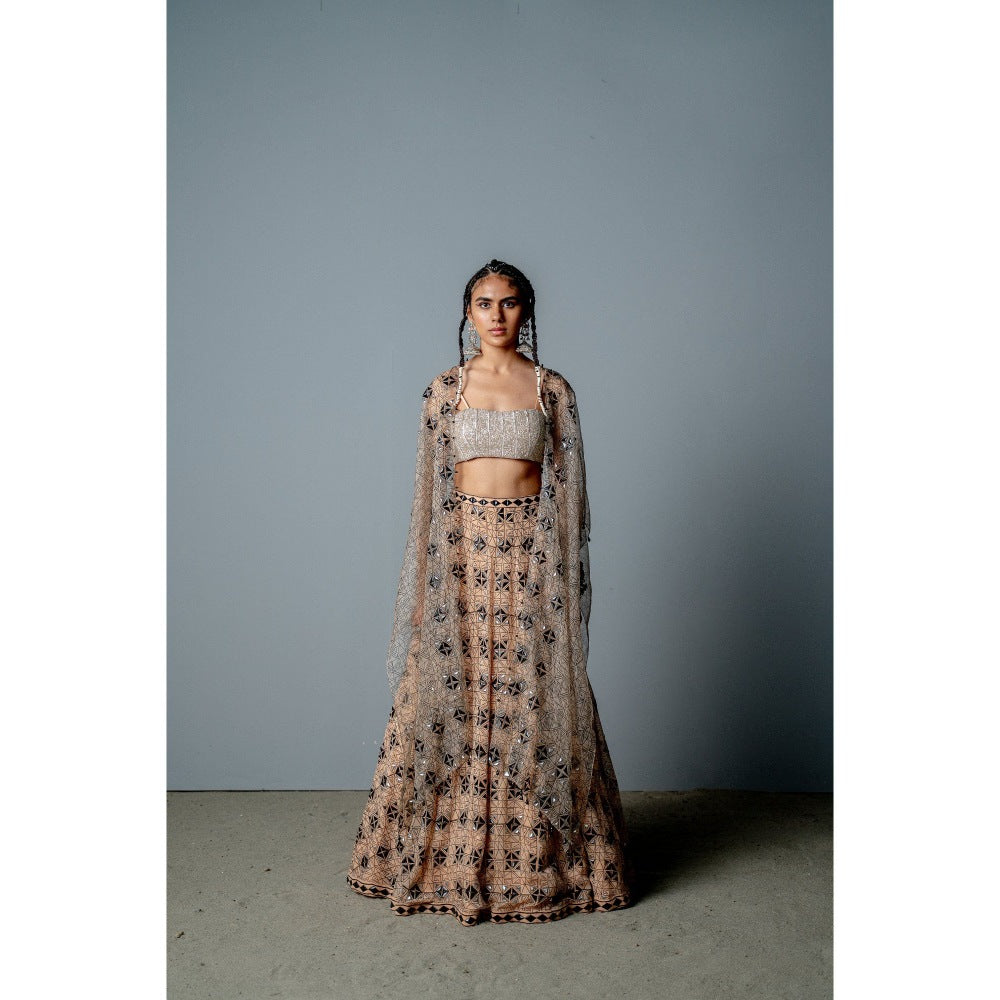 POOJA RAJGARHIA GUPTA Nude Mosaic Lehenga with Blouse and Cape (Set of 3)