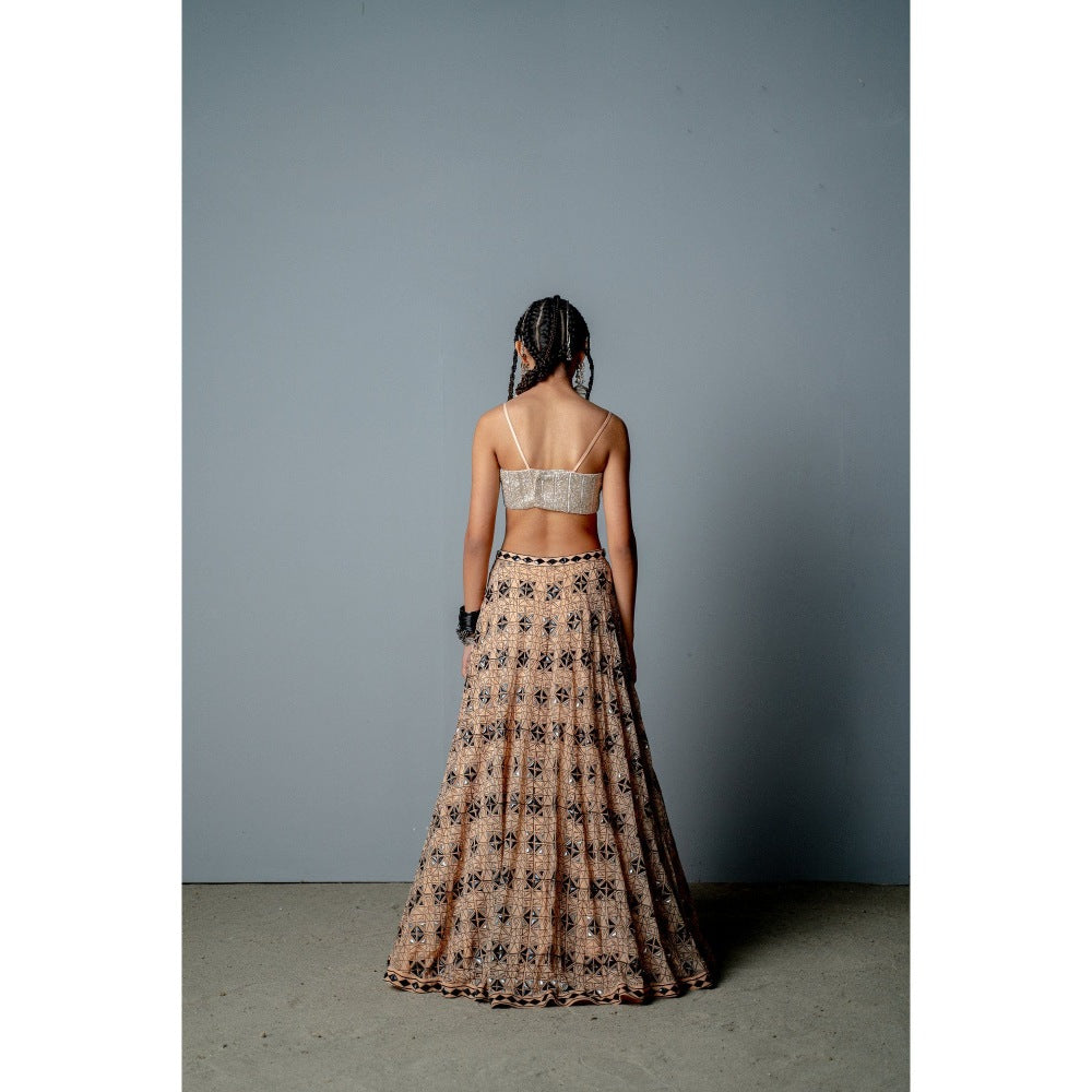 POOJA RAJGARHIA GUPTA Nude Mosaic Lehenga with Blouse and Cape (Set of 3)
