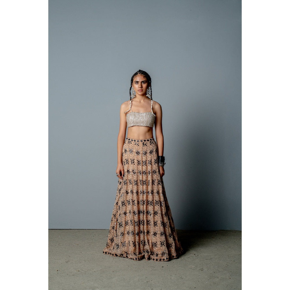 POOJA RAJGARHIA GUPTA Nude Mosaic Lehenga with Blouse and Cape (Set of 3)