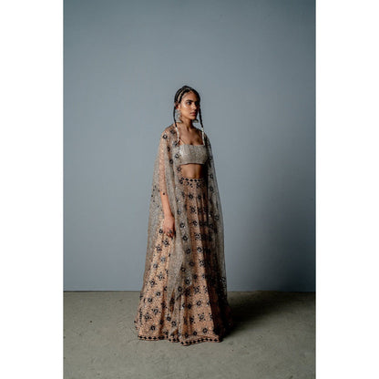 POOJA RAJGARHIA GUPTA Nude Mosaic Lehenga with Blouse and Cape (Set of 3)