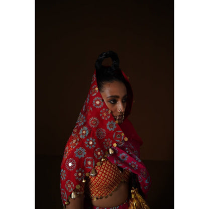 POOJA RAJGARHIA GUPTA Anardana Lehenga (Set of 3)