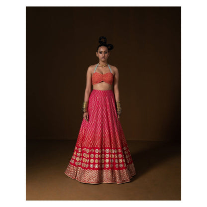 POOJA RAJGARHIA GUPTA Aalta Lehenga with Blouse and Cape (Set of 3)