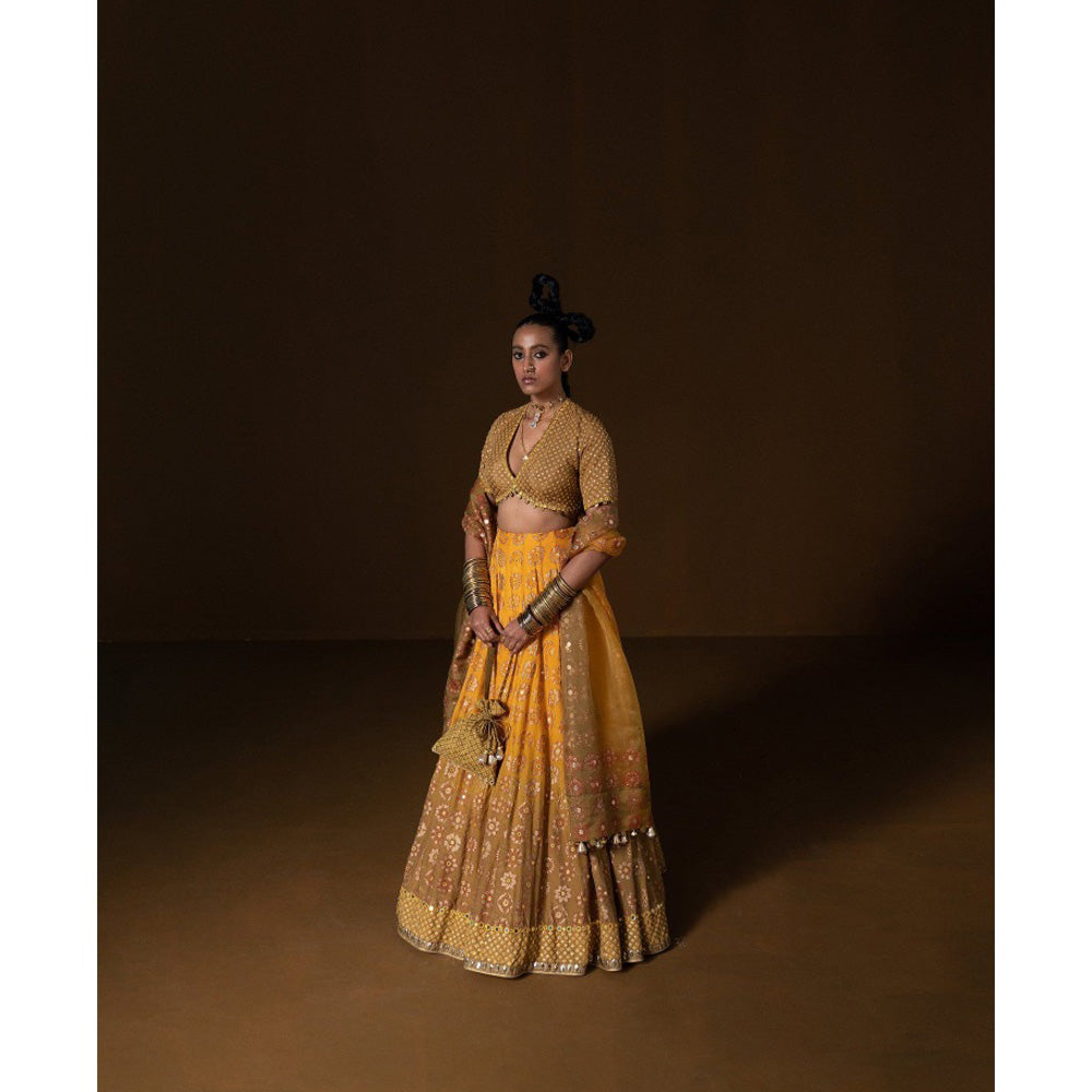 POOJA RAJGARHIA GUPTA Kasundi Lehenga (Set of 3)