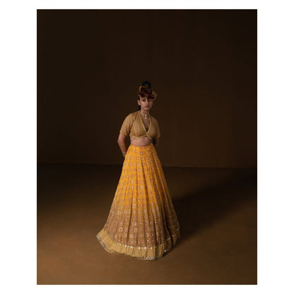 POOJA RAJGARHIA GUPTA Kasundi Lehenga (Set of 3)