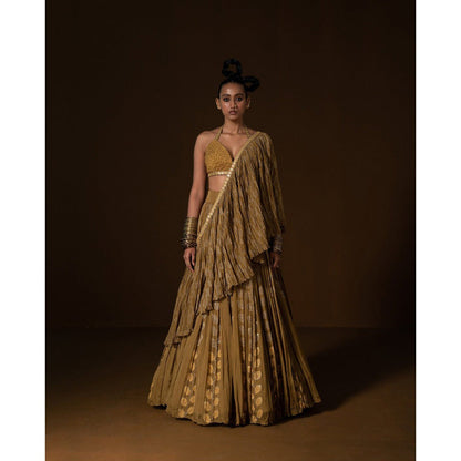 POOJA RAJGARHIA GUPTA Manjari Lehenga (Set of 3)