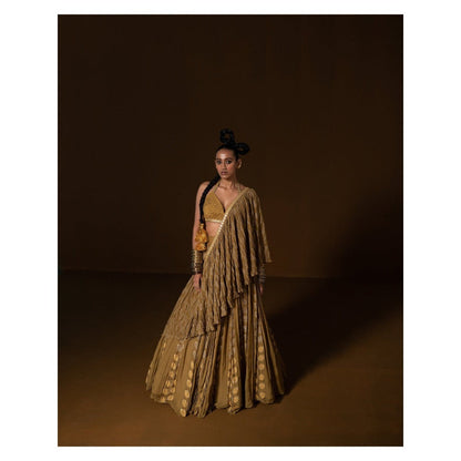 POOJA RAJGARHIA GUPTA Manjari Lehenga (Set of 3)