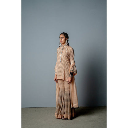 POOJA RAJGARHIA GUPTA Nude Zig Zag Sharara with Kurta and Dupatta (Set of 3)