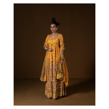 POOJA RAJGARHIA GUPTA Chakraphool Sharara with Kurti and Dupatta (Set of 3)