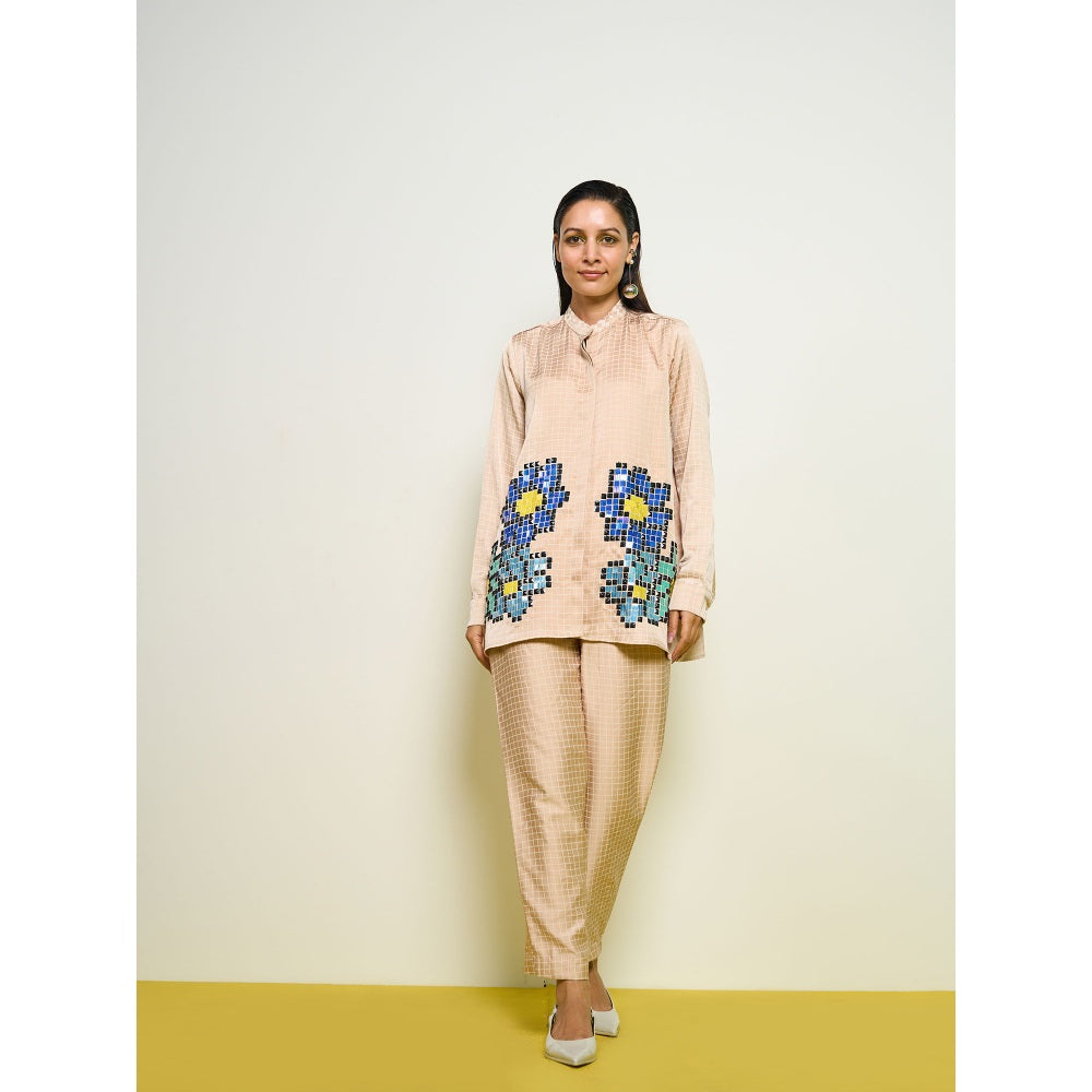 POOJA RAJGARHIA GUPTA Nude Checkered Pant