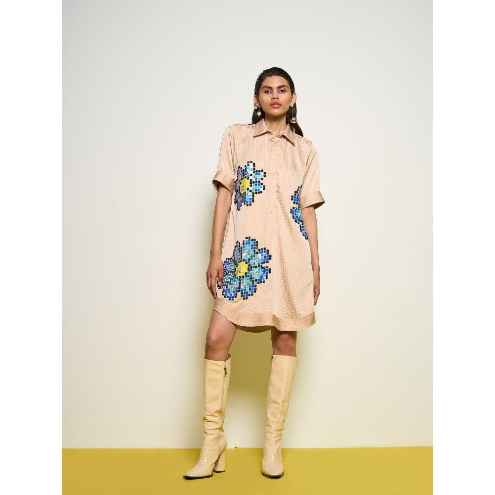 POOJA RAJGARHIA GUPTA Nude Dress