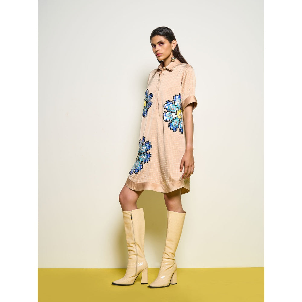 POOJA RAJGARHIA GUPTA Nude Dress