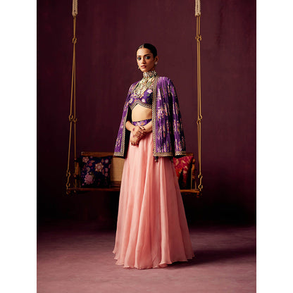 Pooja Singhal Pleated Print Jacket With Bustier And Contrast Organza Skirt (Set of 3)