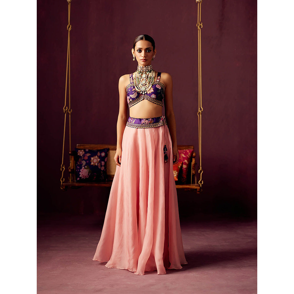 Pooja Singhal Pleated Print Jacket With Bustier And Contrast Organza Skirt (Set of 3)