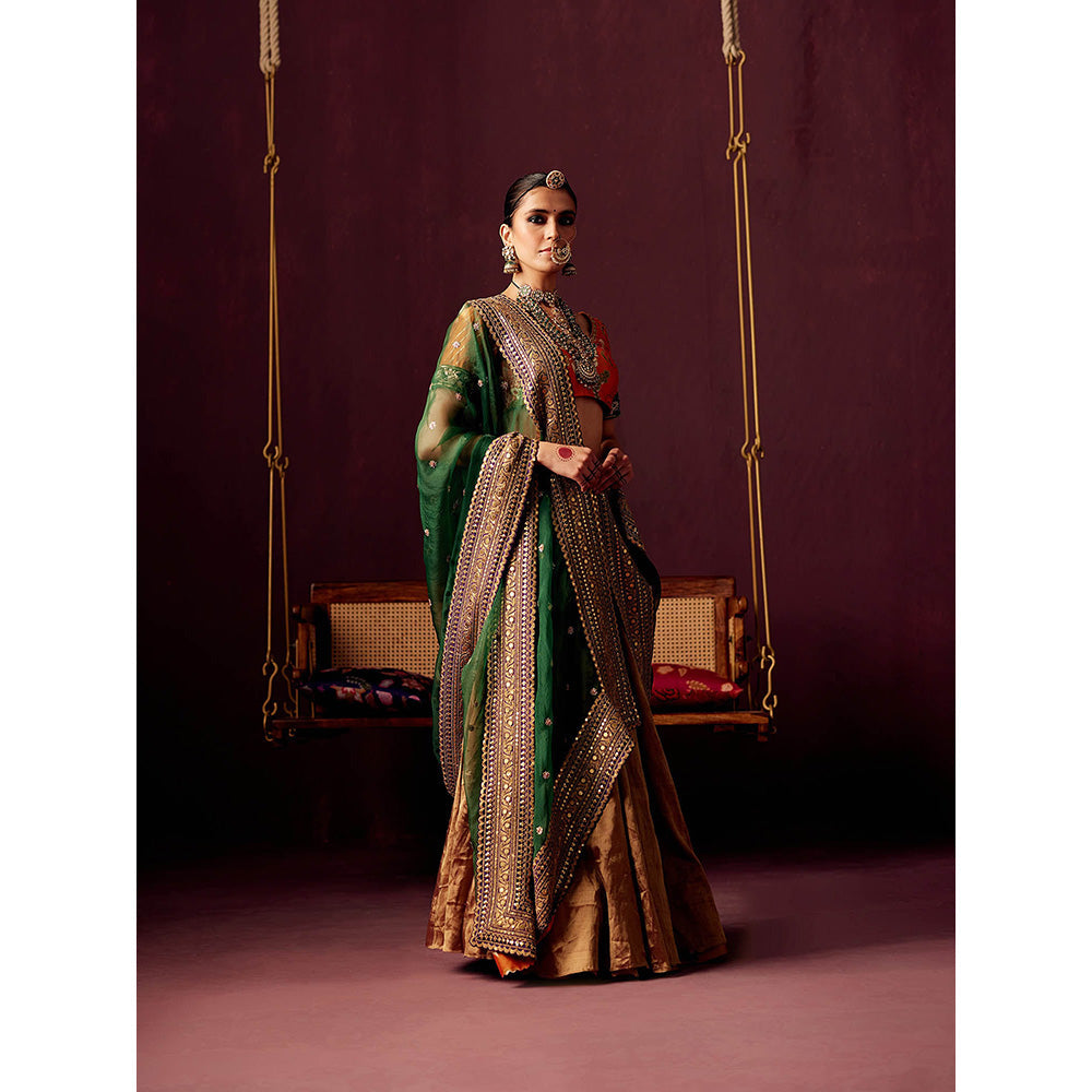 Pooja Singhal Tissue Lehenga With Blouse And Multicolor Organza Embroidered Dupatta (Set of 3)